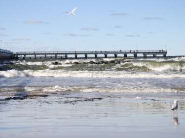 sachmatine-palanga-2
