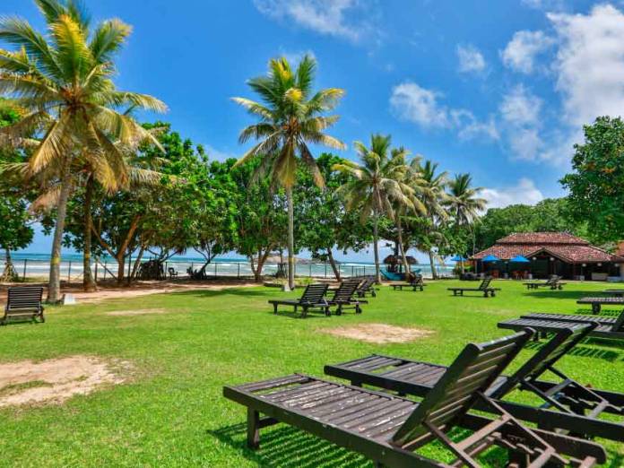 The Palms Hotel - egzotinė kelionė - NNN