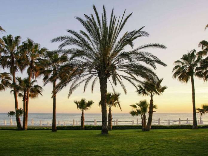 Acanthus Cennet Barut Collection - poilsinė kelionė - NNN