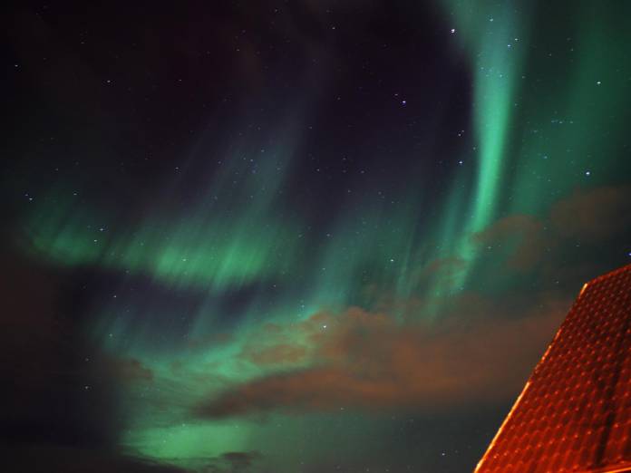 Laxnes - trumpas pabėgimas - NNN