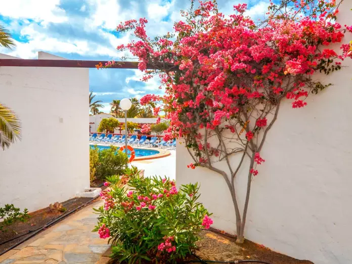 Castillo Beach Bungalows - poilsinė kelionė - NNN