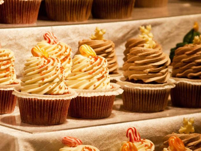 Kalėdinės mugės Vienoje - šventinė kelionė - NNN