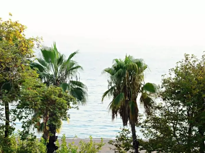 Aroma Butik Hotel - kelionė šeimai - NNN