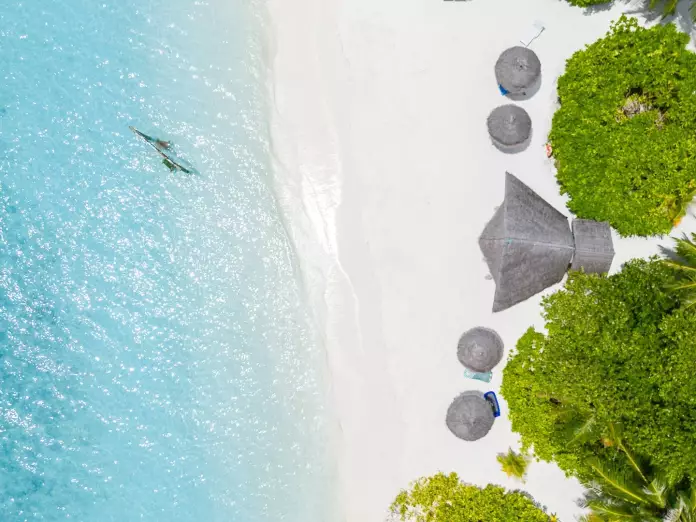 Fihalhohi Island Resort - egzotinė kelionė | NoriuNoriuNoriu