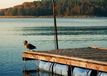 Augustavas - ką pamatyti Lenkijos Venecijoje