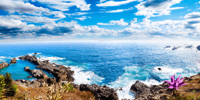 Tenerifė - amžinos vasaros žemė Kanarų salose. Populiariausios lankytinos vietos Ispanijos pietvakariuose