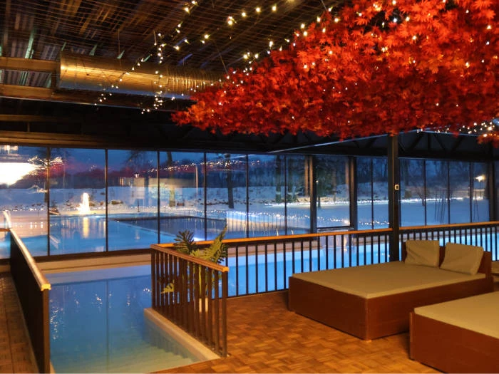 Castle Spa Wagenküll - Viešbučiai Valga raj.