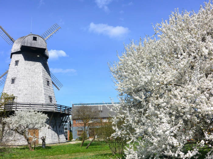 Poilsio kompleksas Rožmalas - Viešbučiai Bauskoje