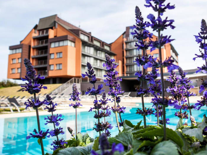 Vanagupė SPA viešbutis - Viešbučiai Palangoje