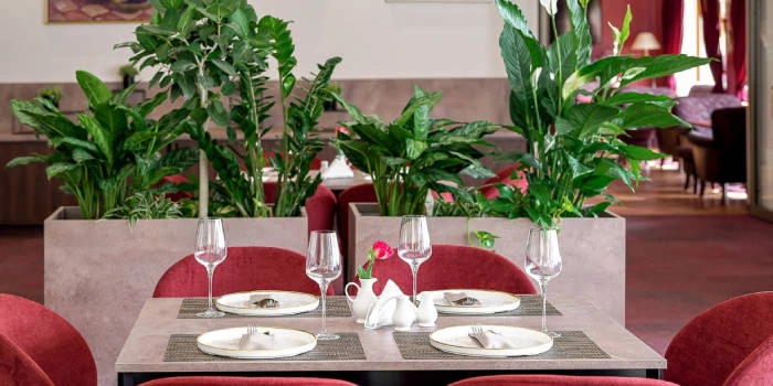 Regina - Viešbučiai Druskininkuose