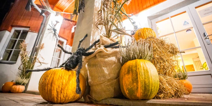 Galia - Viešbučiai Druskininkuose Galia - Viešbučiai Druskininkuose