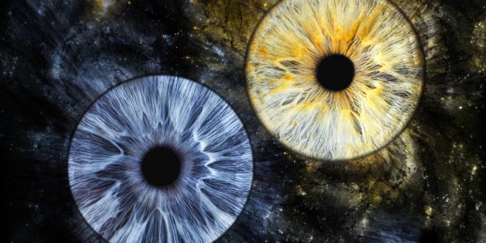 Eye2Eye akių fotografija Vilniuje - Viešbučiai Vilniuje