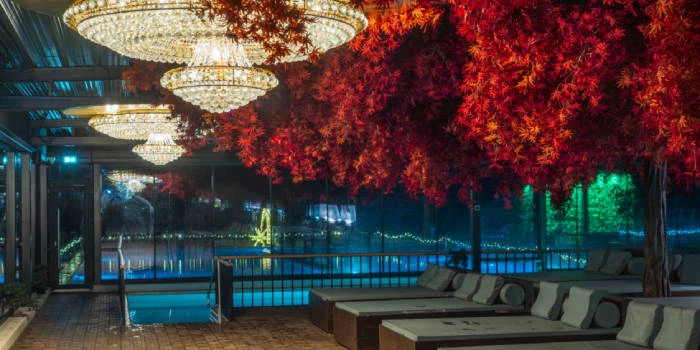Castle Spa Wagenküll - Viešbučiai Valga raj.