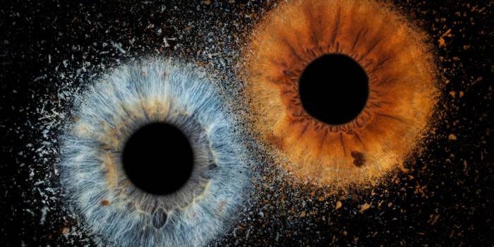 Akių Fotografija Vilniuje - Viešbučiai Vilniuje