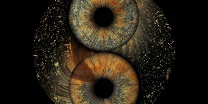 Akių Fotografija Vilniuje - Viešbučiai Vilniuje