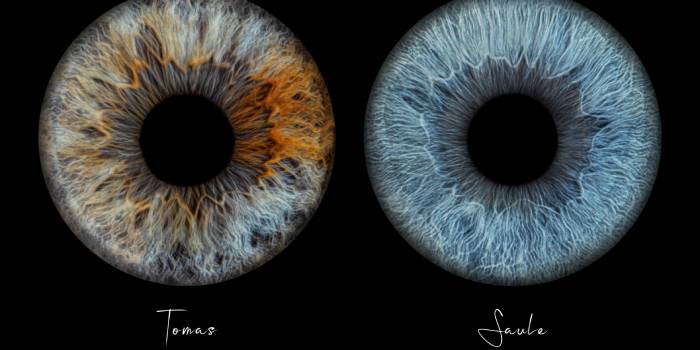 Akių Fotografija Vilniuje - Viešbučiai Vilniuje