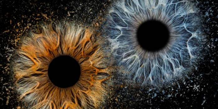 Akių Fotografija Kaune - Viešbučiai Kaune