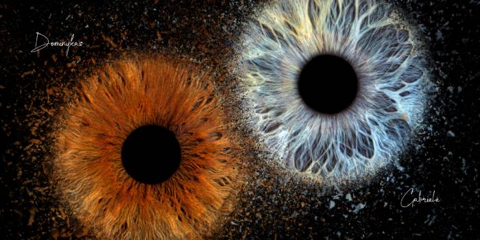 „Akių Fotografija“ DOVANŲ ČEKIS Kaune