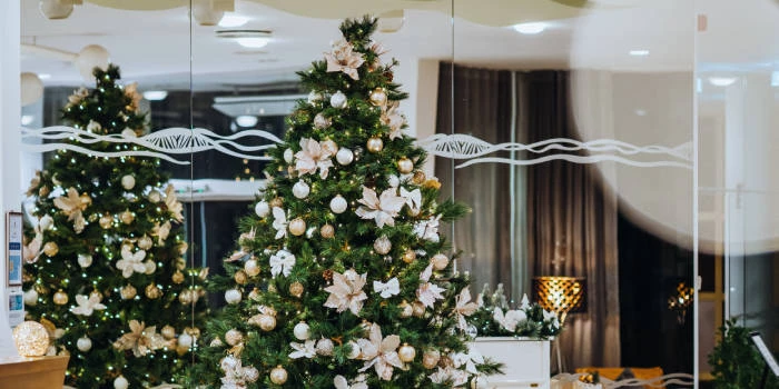 Viešbutis Gabija - Viešbučiai Palangoje