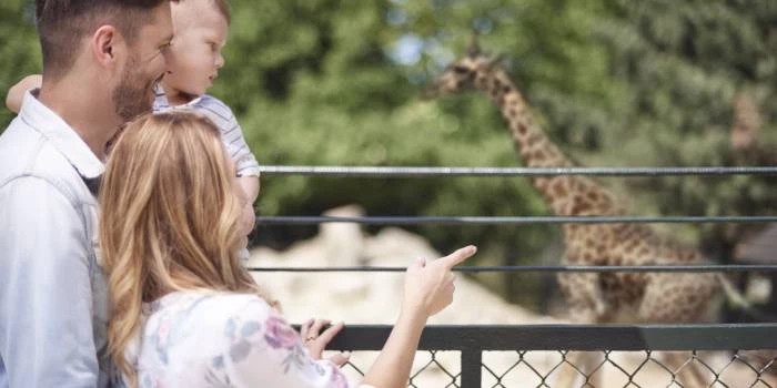 Carillon Aparthotel - Keystone Collection - Viešbučiai Rygoje