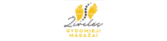 Živilės gydomieji masažai